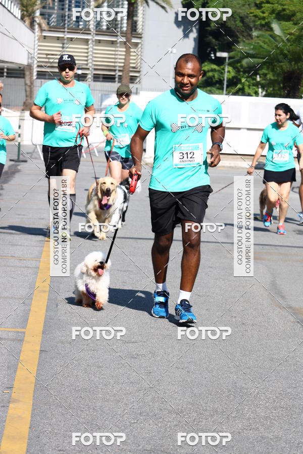 Buy your photos of the event2� Pet Run Shopping Eldorado  on Fotop