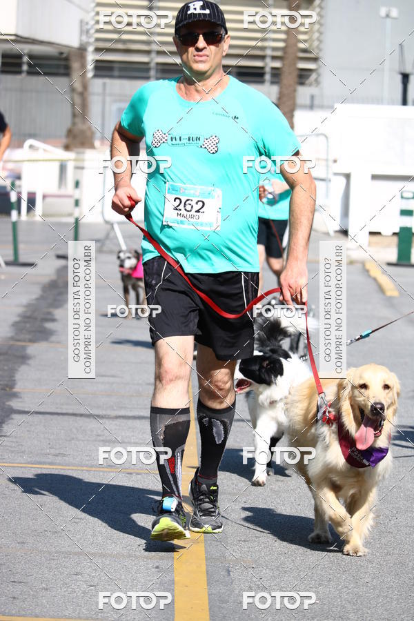 Buy your photos of the event2� Pet Run Shopping Eldorado  on Fotop