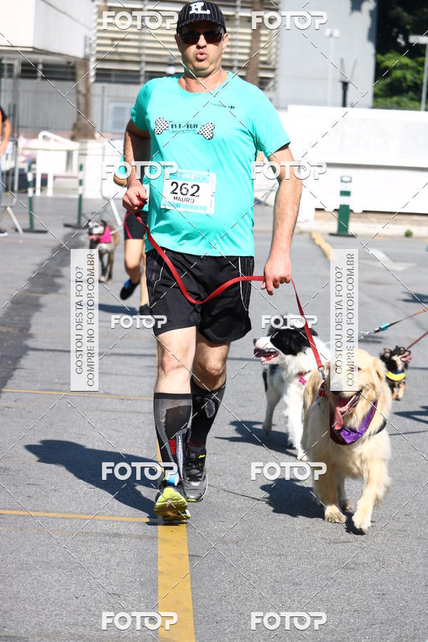 Buy your photos of the event2� Pet Run Shopping Eldorado  on Fotop
