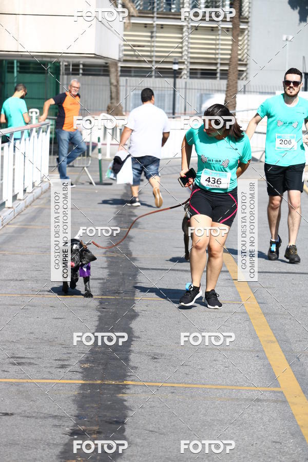 Buy your photos of the event2� Pet Run Shopping Eldorado  on Fotop