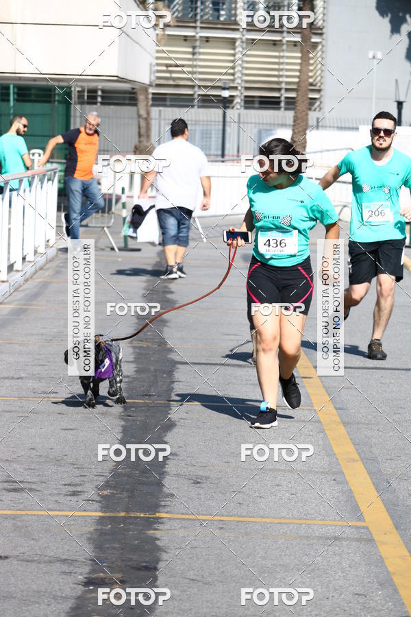 Buy your photos of the event2� Pet Run Shopping Eldorado  on Fotop