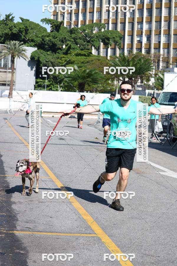 Buy your photos of the event2� Pet Run Shopping Eldorado  on Fotop