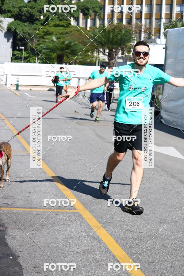 Buy your photos of the event2� Pet Run Shopping Eldorado  on Fotop