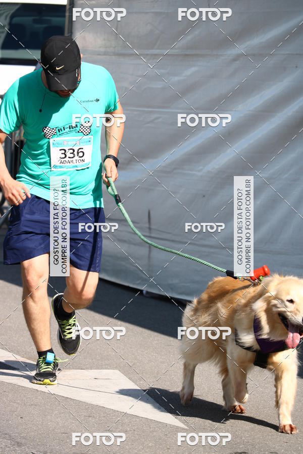 Buy your photos of the event2� Pet Run Shopping Eldorado  on Fotop