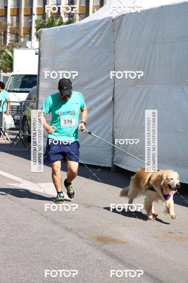 Buy your photos of the event2� Pet Run Shopping Eldorado  on Fotop