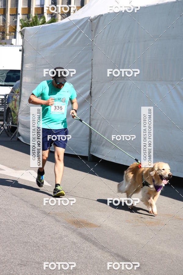 Buy your photos of the event2� Pet Run Shopping Eldorado  on Fotop