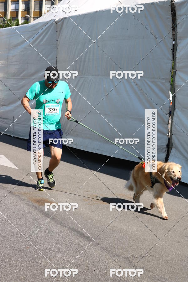 Buy your photos of the event2� Pet Run Shopping Eldorado  on Fotop