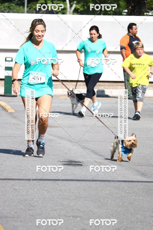Buy your photos of the event2� Pet Run Shopping Eldorado  on Fotop