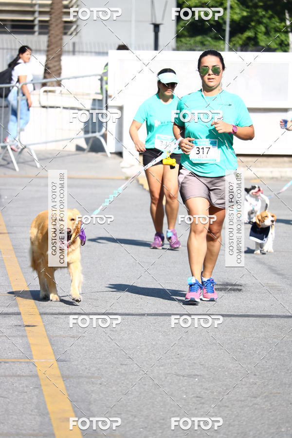 Buy your photos of the event2� Pet Run Shopping Eldorado  on Fotop