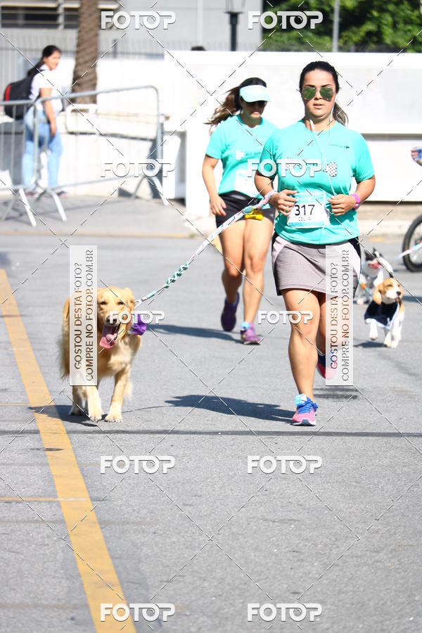 Buy your photos of the event2� Pet Run Shopping Eldorado  on Fotop