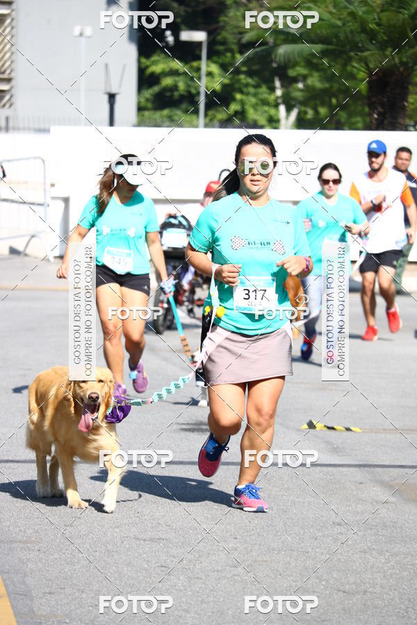 Buy your photos of the event2� Pet Run Shopping Eldorado  on Fotop