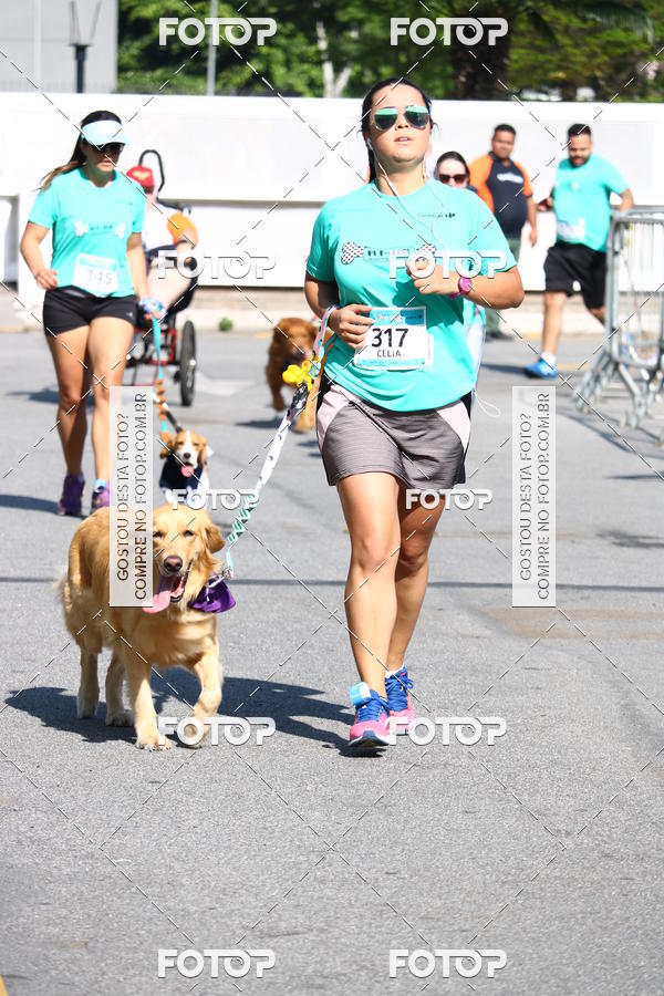 Buy your photos of the event2� Pet Run Shopping Eldorado  on Fotop