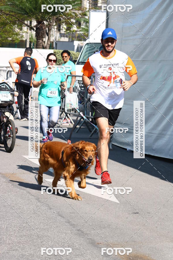 Buy your photos of the event2� Pet Run Shopping Eldorado  on Fotop