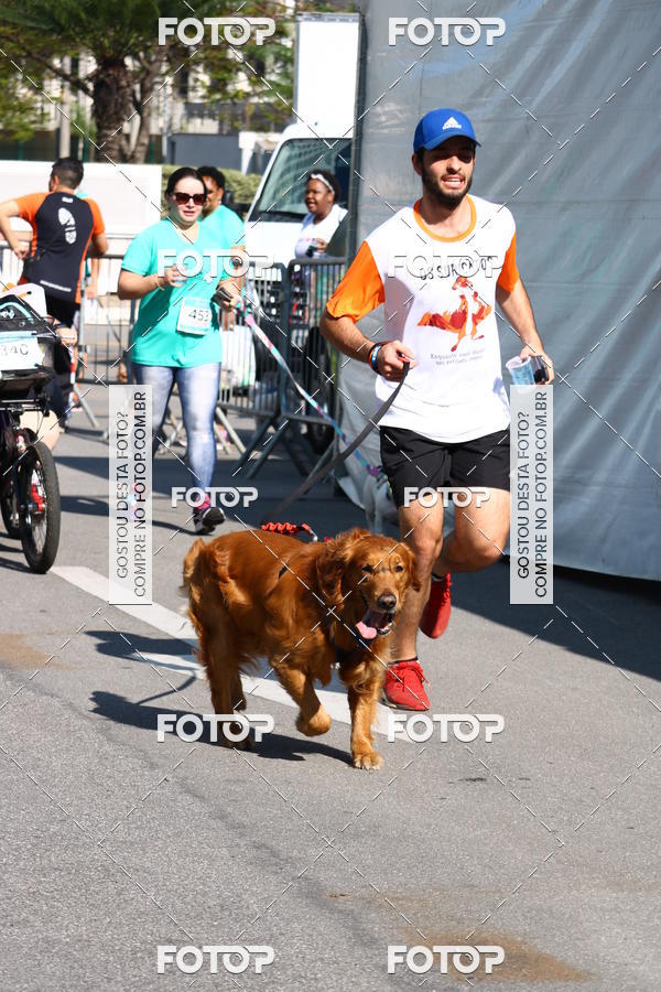 Buy your photos of the event2� Pet Run Shopping Eldorado  on Fotop