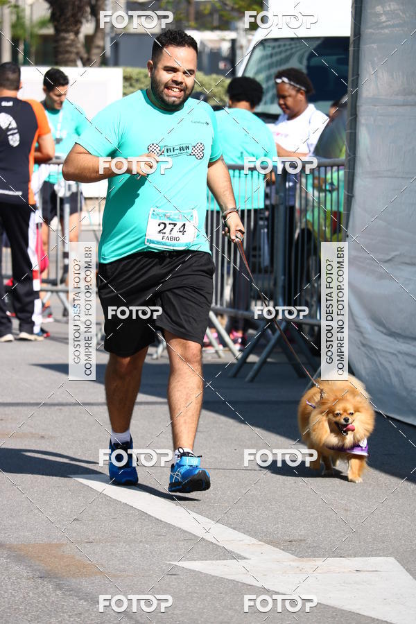 Buy your photos of the event2� Pet Run Shopping Eldorado  on Fotop