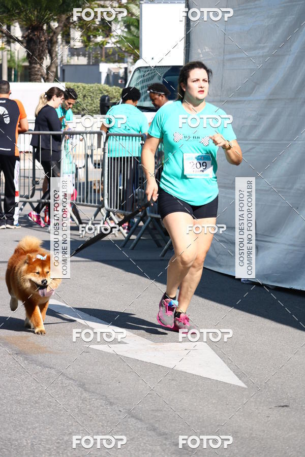 Buy your photos of the event2� Pet Run Shopping Eldorado  on Fotop