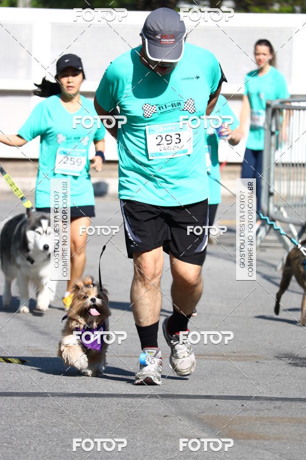 Buy your photos of the event2� Pet Run Shopping Eldorado  on Fotop