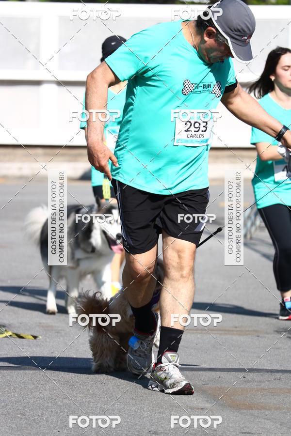 Buy your photos of the event2� Pet Run Shopping Eldorado  on Fotop