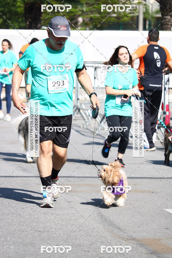 Buy your photos of the event2� Pet Run Shopping Eldorado  on Fotop