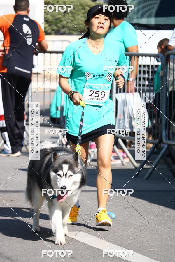 Buy your photos of the event2� Pet Run Shopping Eldorado  on Fotop