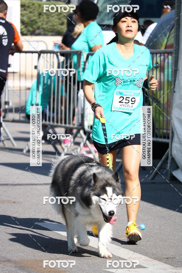Buy your photos of the event2� Pet Run Shopping Eldorado  on Fotop
