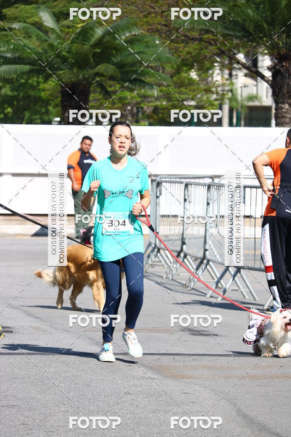 Buy your photos of the event2� Pet Run Shopping Eldorado  on Fotop