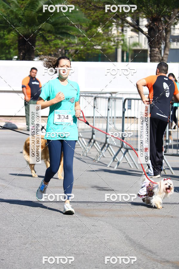 Buy your photos of the event2� Pet Run Shopping Eldorado  on Fotop