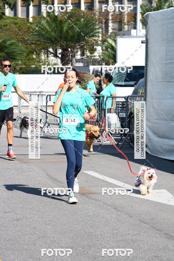 Buy your photos of the event2� Pet Run Shopping Eldorado  on Fotop