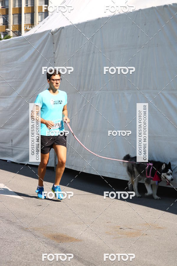 Buy your photos of the event2� Pet Run Shopping Eldorado  on Fotop