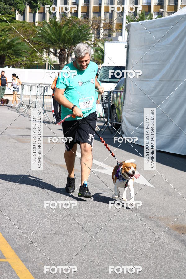 Buy your photos of the event2� Pet Run Shopping Eldorado  on Fotop