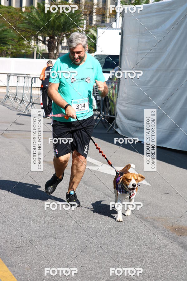 Buy your photos of the event2� Pet Run Shopping Eldorado  on Fotop
