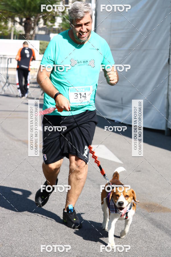Buy your photos of the event2� Pet Run Shopping Eldorado  on Fotop