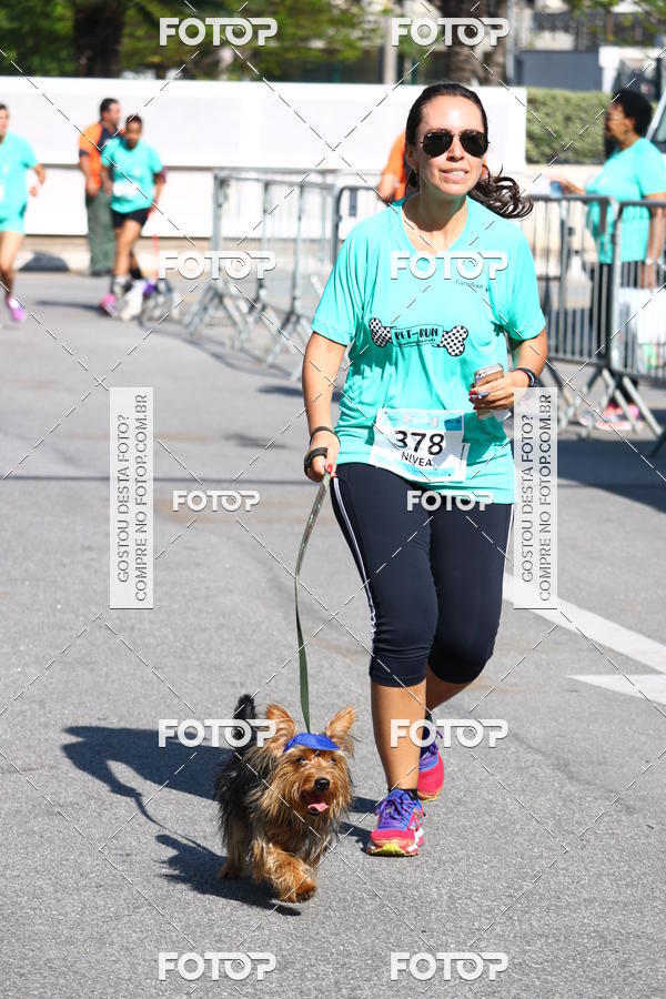 Buy your photos of the event2� Pet Run Shopping Eldorado  on Fotop