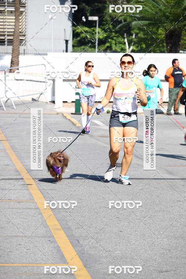 Buy your photos of the event2� Pet Run Shopping Eldorado  on Fotop
