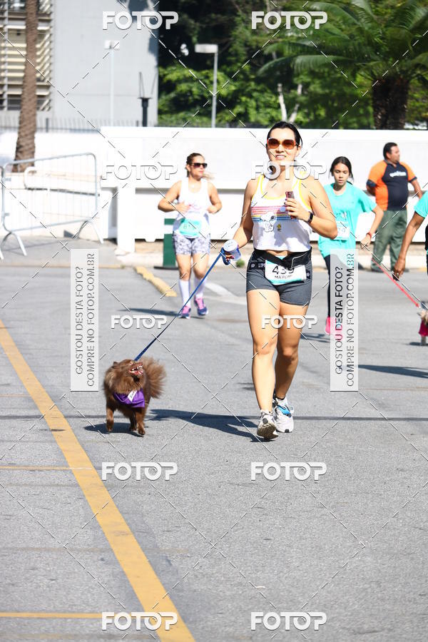 Buy your photos of the event2� Pet Run Shopping Eldorado  on Fotop
