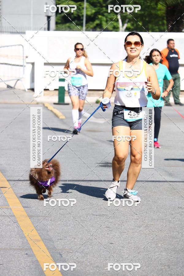 Buy your photos of the event2� Pet Run Shopping Eldorado  on Fotop