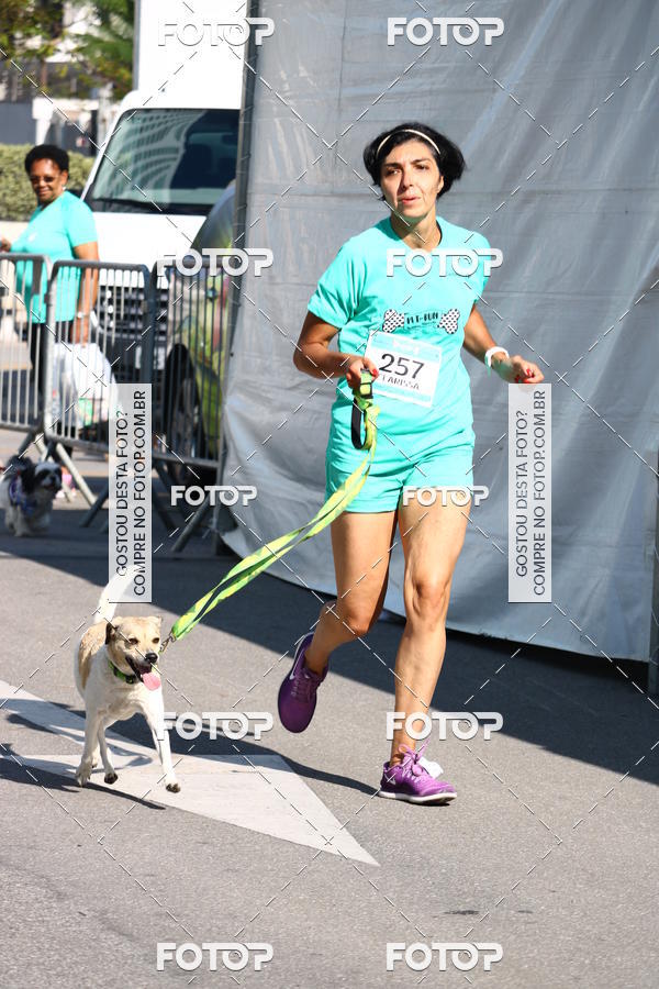 Buy your photos of the event2� Pet Run Shopping Eldorado  on Fotop