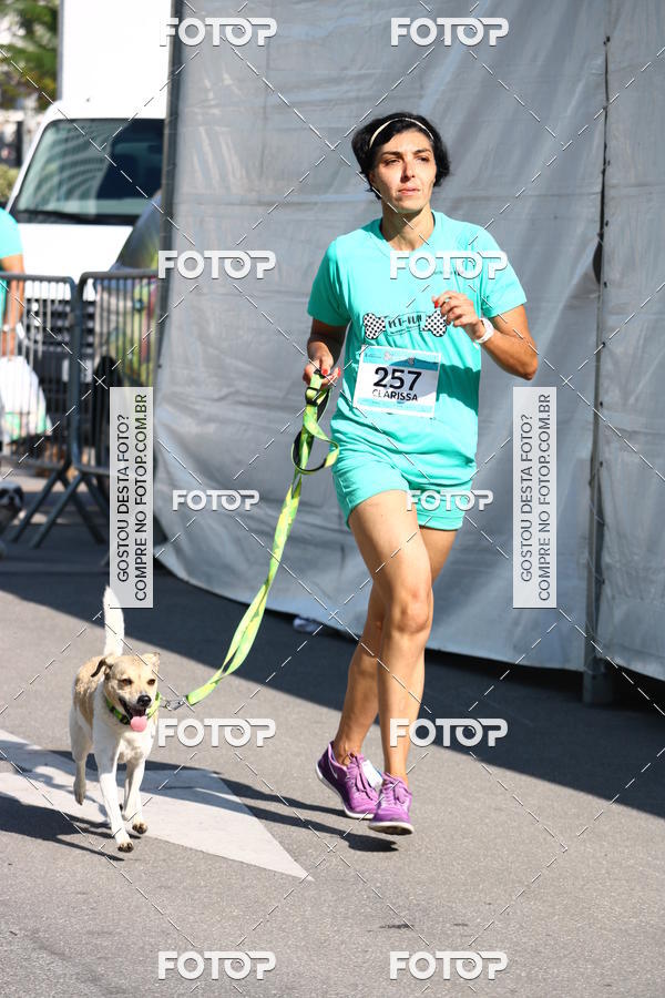 Buy your photos of the event2� Pet Run Shopping Eldorado  on Fotop