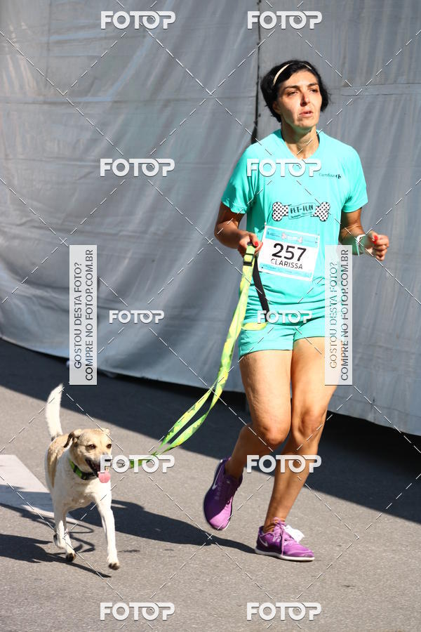 Buy your photos of the event2� Pet Run Shopping Eldorado  on Fotop