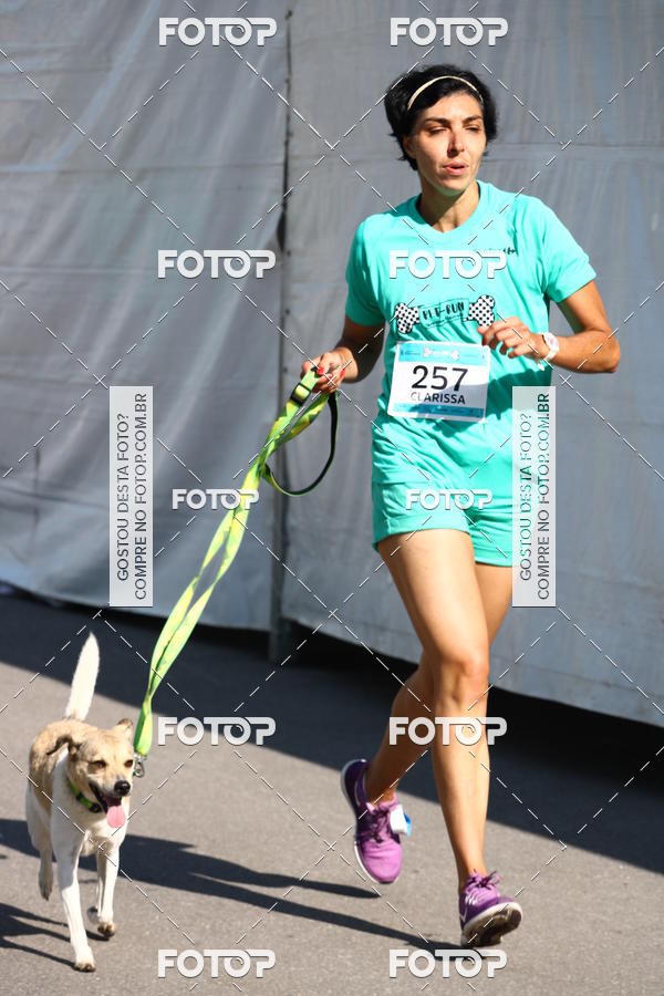 Buy your photos of the event2� Pet Run Shopping Eldorado  on Fotop