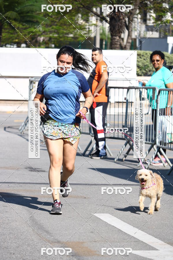 Buy your photos of the event2� Pet Run Shopping Eldorado  on Fotop
