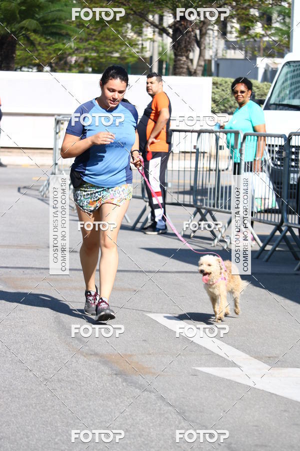 Buy your photos of the event2� Pet Run Shopping Eldorado  on Fotop