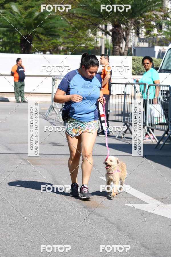 Buy your photos of the event2� Pet Run Shopping Eldorado  on Fotop