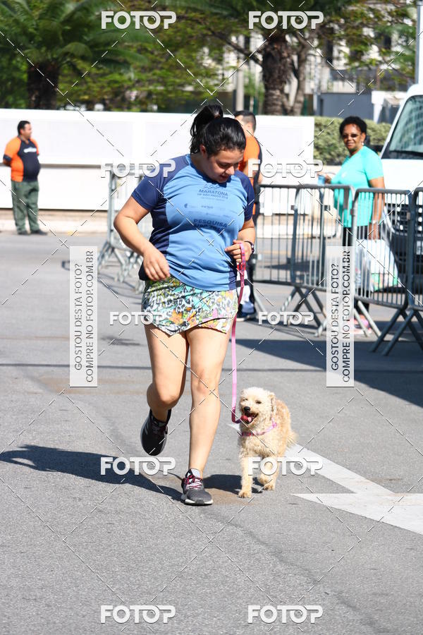 Buy your photos of the event2� Pet Run Shopping Eldorado  on Fotop