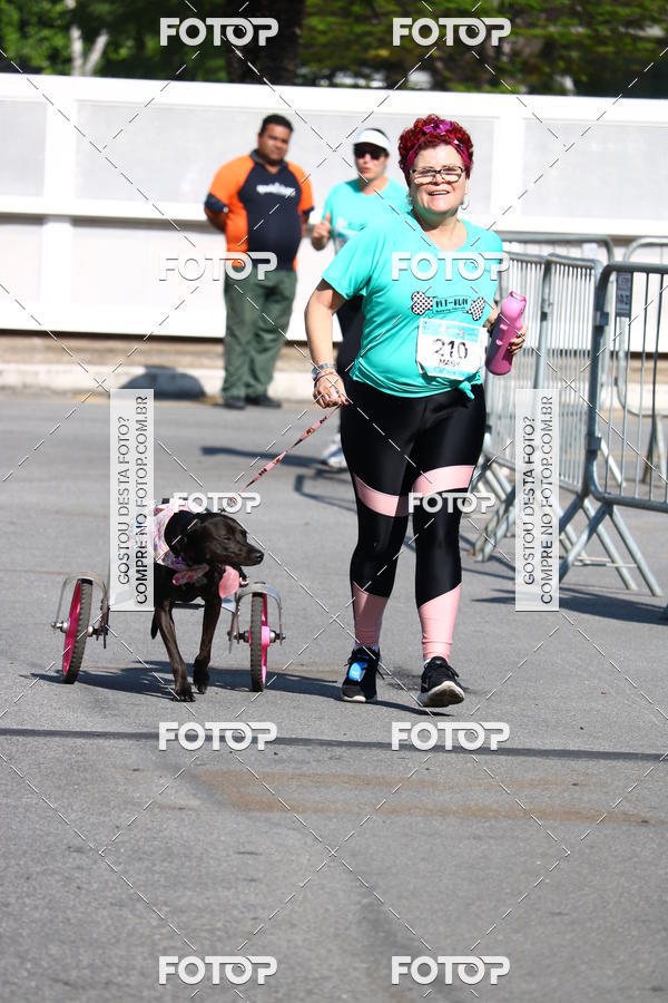 Buy your photos of the event2� Pet Run Shopping Eldorado  on Fotop