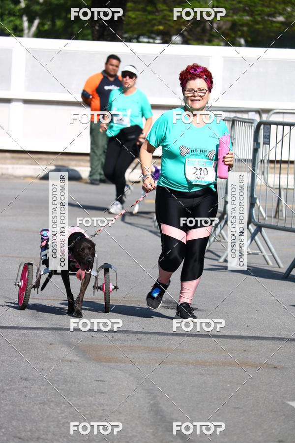 Buy your photos of the event2� Pet Run Shopping Eldorado  on Fotop