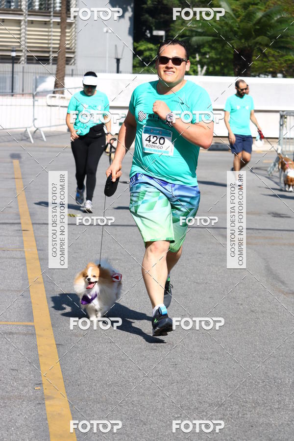 Buy your photos of the event2� Pet Run Shopping Eldorado  on Fotop