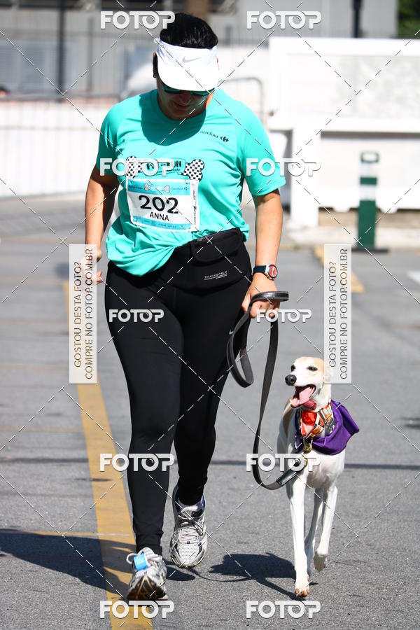 Buy your photos of the event2� Pet Run Shopping Eldorado  on Fotop