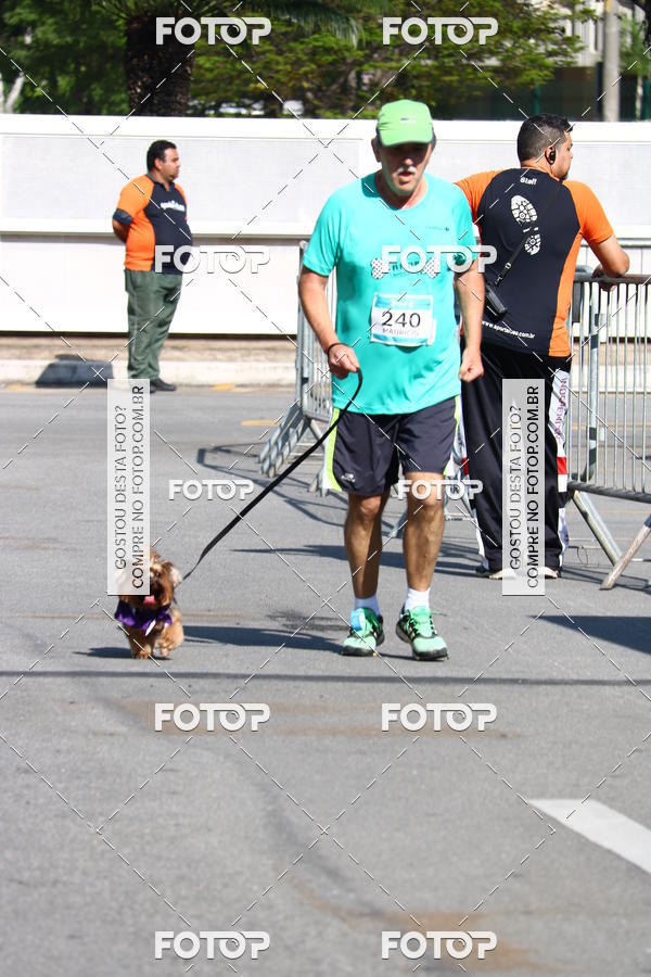 Buy your photos of the event2� Pet Run Shopping Eldorado  on Fotop