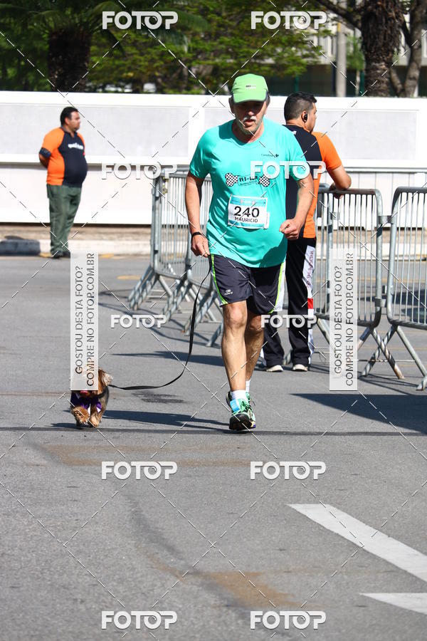 Buy your photos of the event2� Pet Run Shopping Eldorado  on Fotop